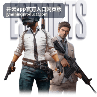 开云app官方入口网页版 版本调整后的操作路径示意