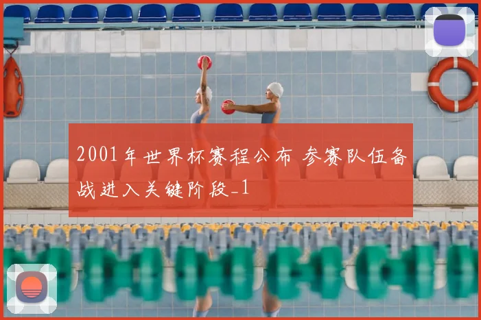 2001年世界杯赛程公布 参赛队伍备战进入关键阶段_1