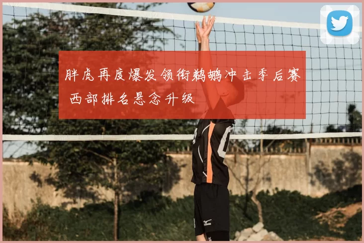 胖虎再度爆发领衔鹈鹕冲击季后赛 西部排名悬念升级