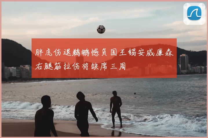 胖虎伤退鹈鹕憾负国王锡安威廉森右腿筋拉伤将缺席三周
