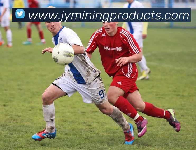 App Interface Preview